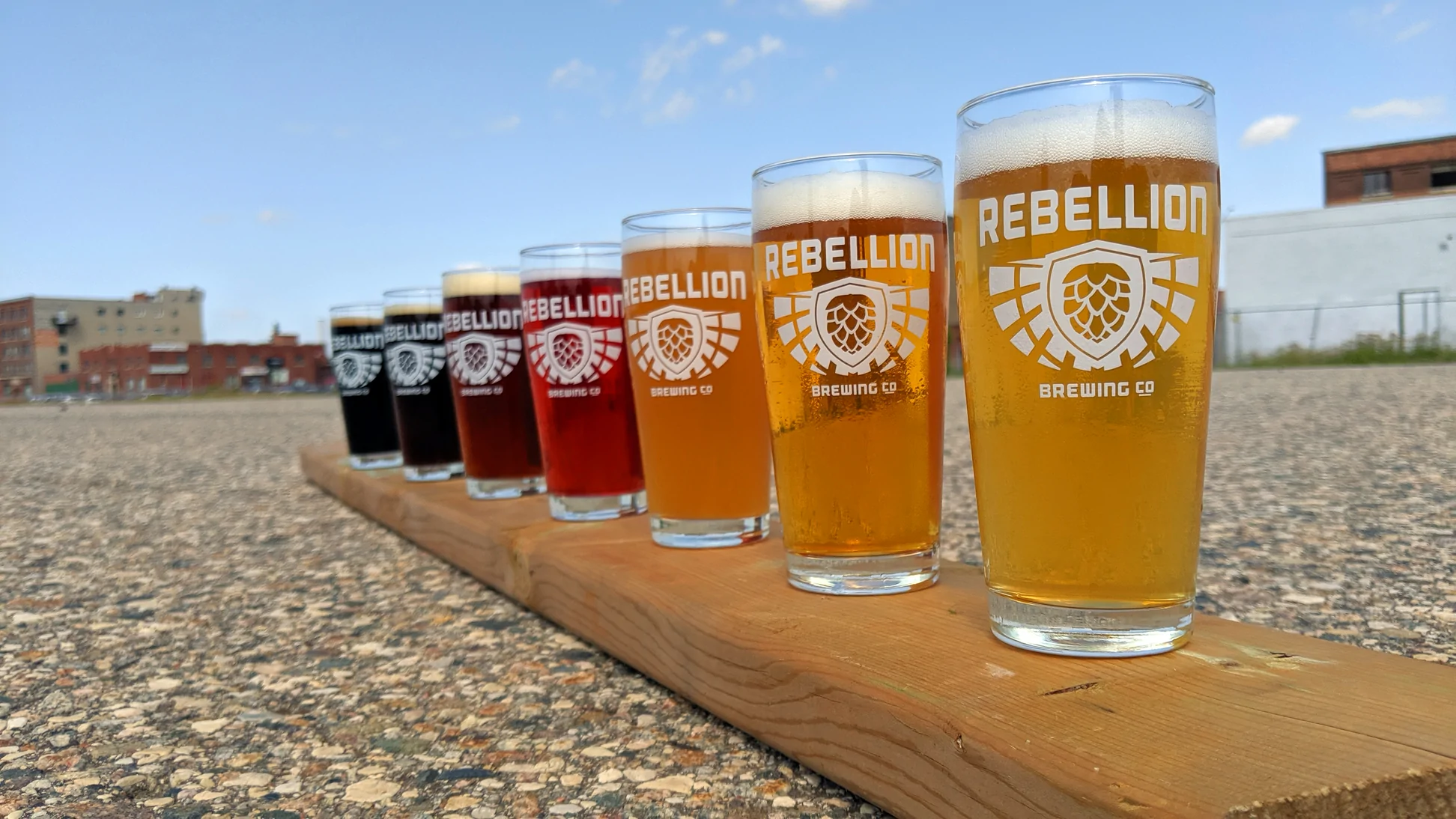 Rebellion Brewing Co. Beers Lined up in a Row